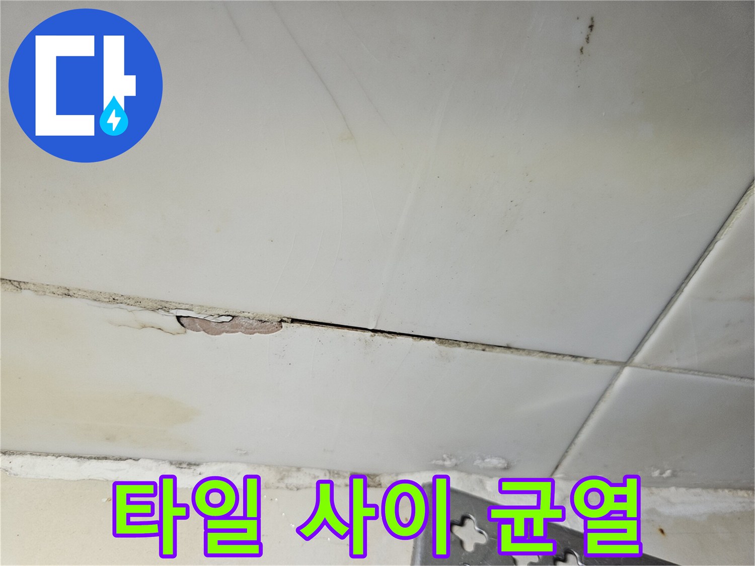 균열된-타일-틈새의-축축한-상태