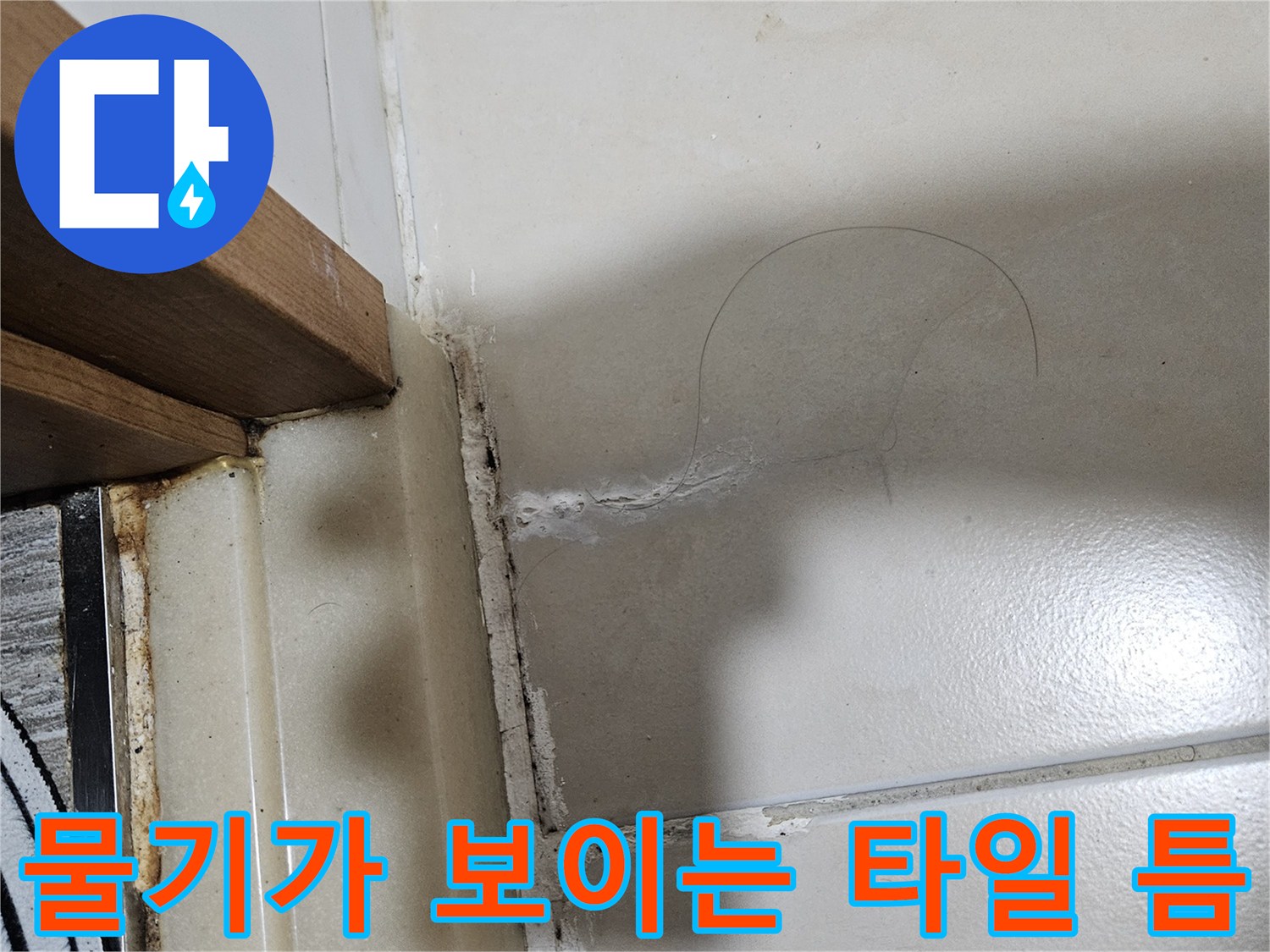타일 균열 사이로 스며 나온 물기 흔적