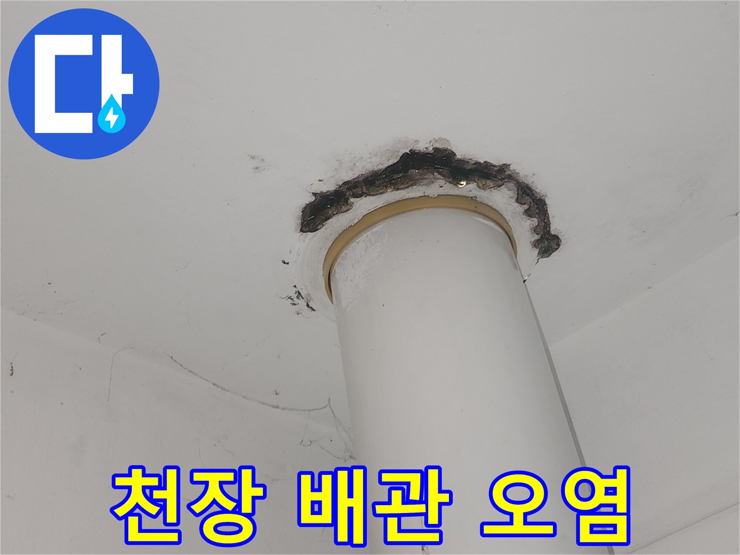 천장 배관-주변부 검은색 곰팡이 흔적