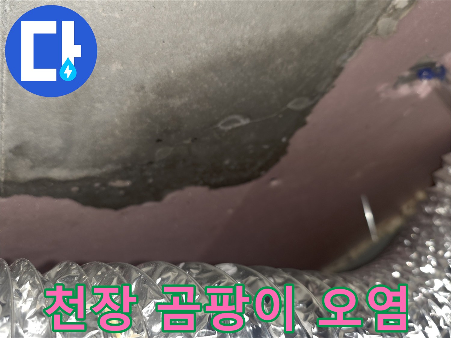 습기로 인해 변색된 천장 단열재와 슬라브