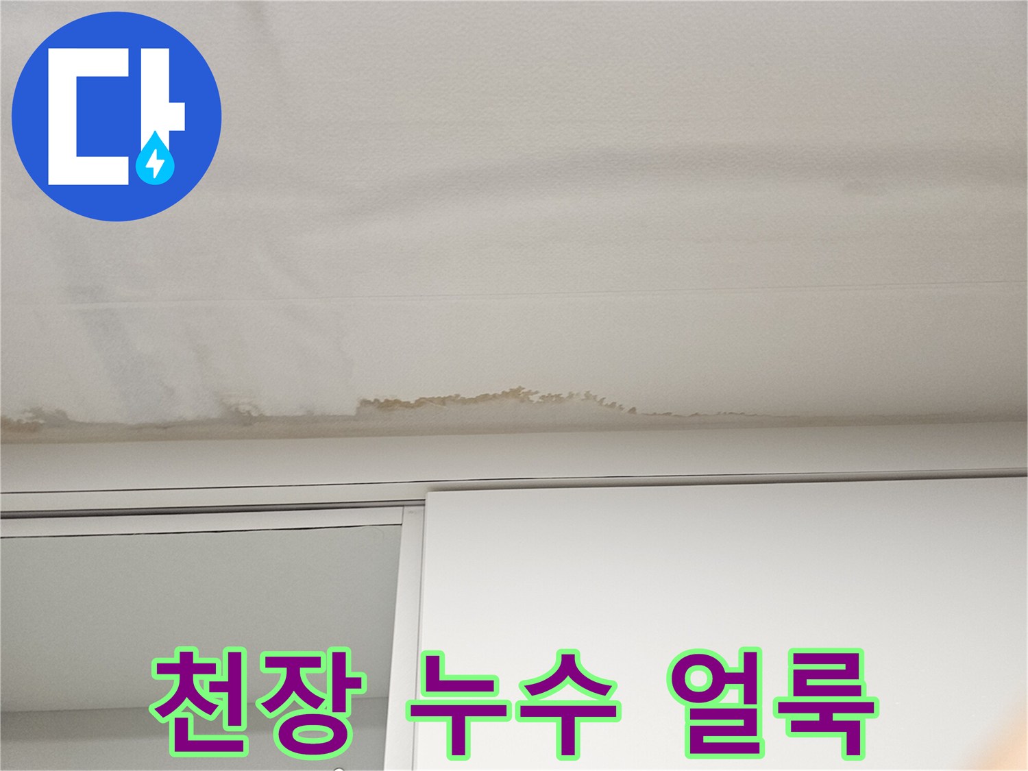 천장-가장자리를-따라-발생한-변색된-얼룩