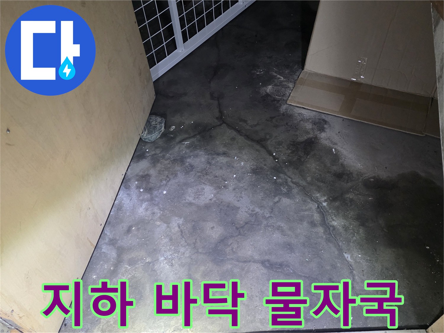 지하 현관 바동의 습한 물자국과 얼룩 상태