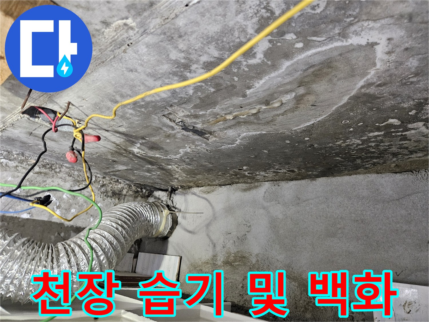 물샘-흔적이-남은-아랫집-천장-구조물-상태