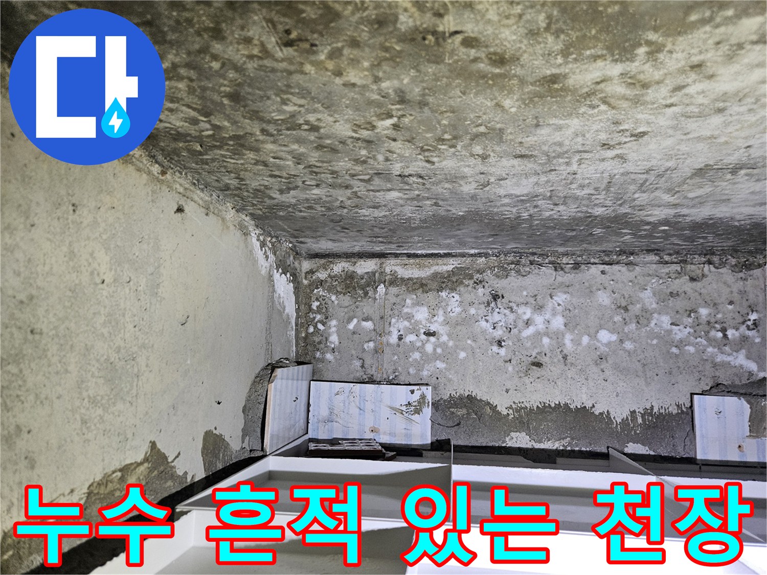 습기로 인해 얼룩진 화장실 천장의 모습