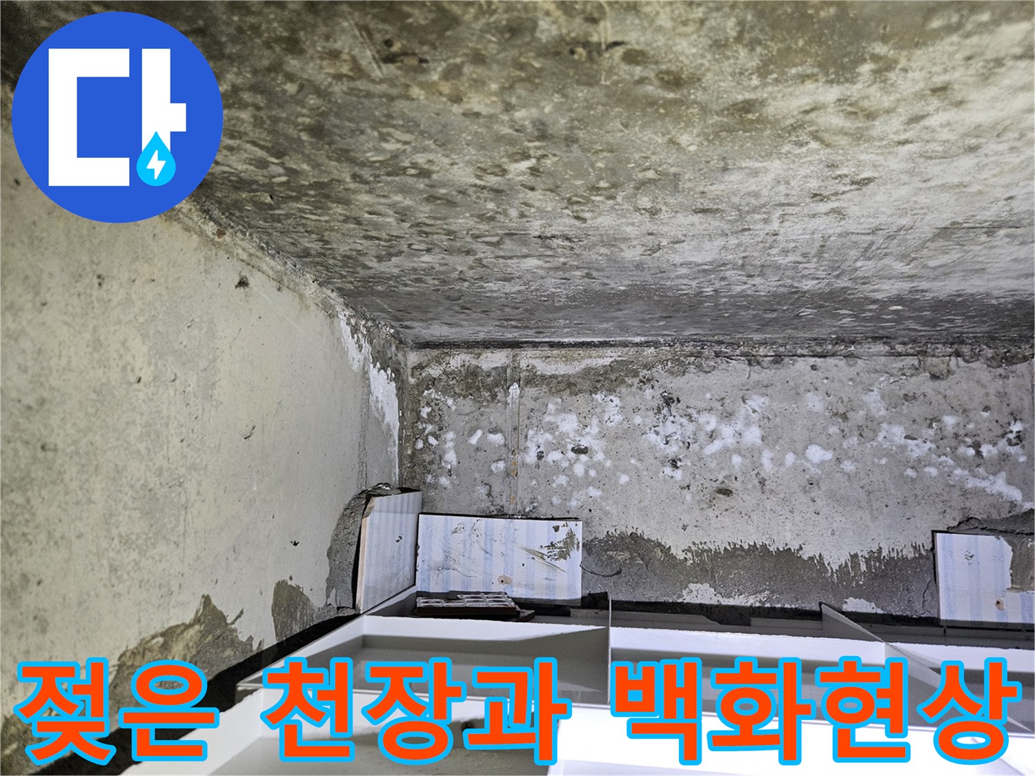 아랫집-화장실-천장-백화현상-및-습기-상태