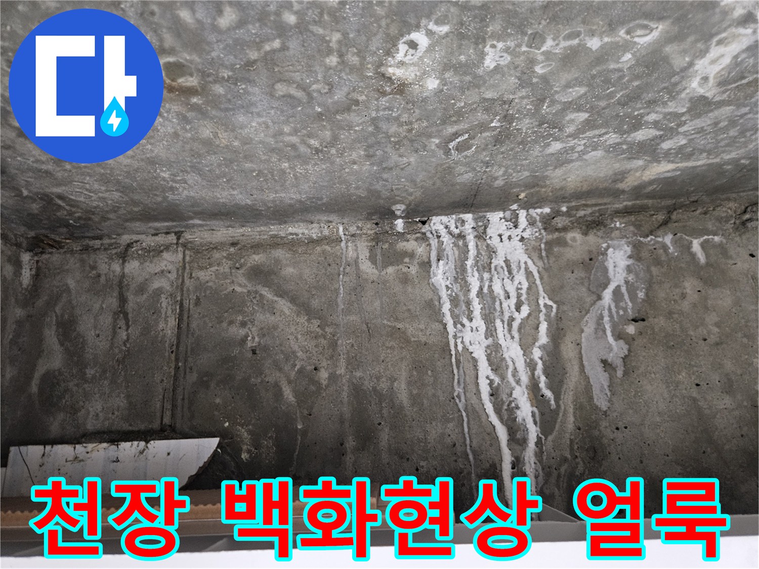 아파트 화장실 천장-하얀색 백화 현상이 발생한 모습