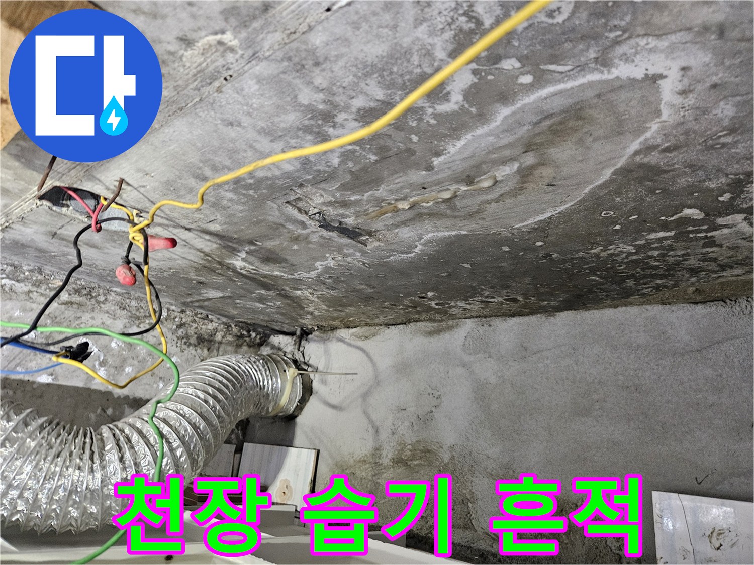 천장-콘크리트-표면의-물기-및-백화