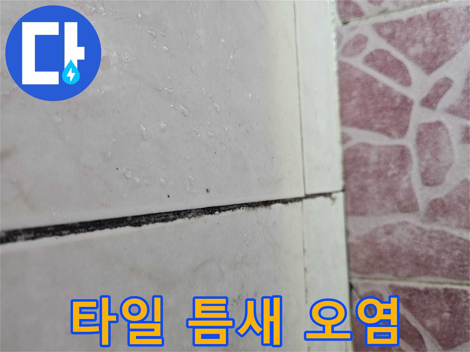 검게-침착된-타일-사이의-줄눈
