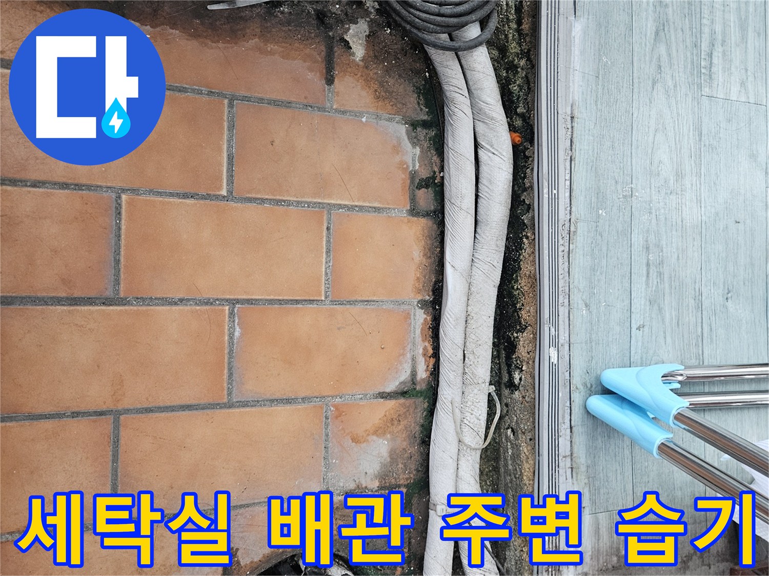 세탁실-하수관-주변-타일-틈새-습기-확인