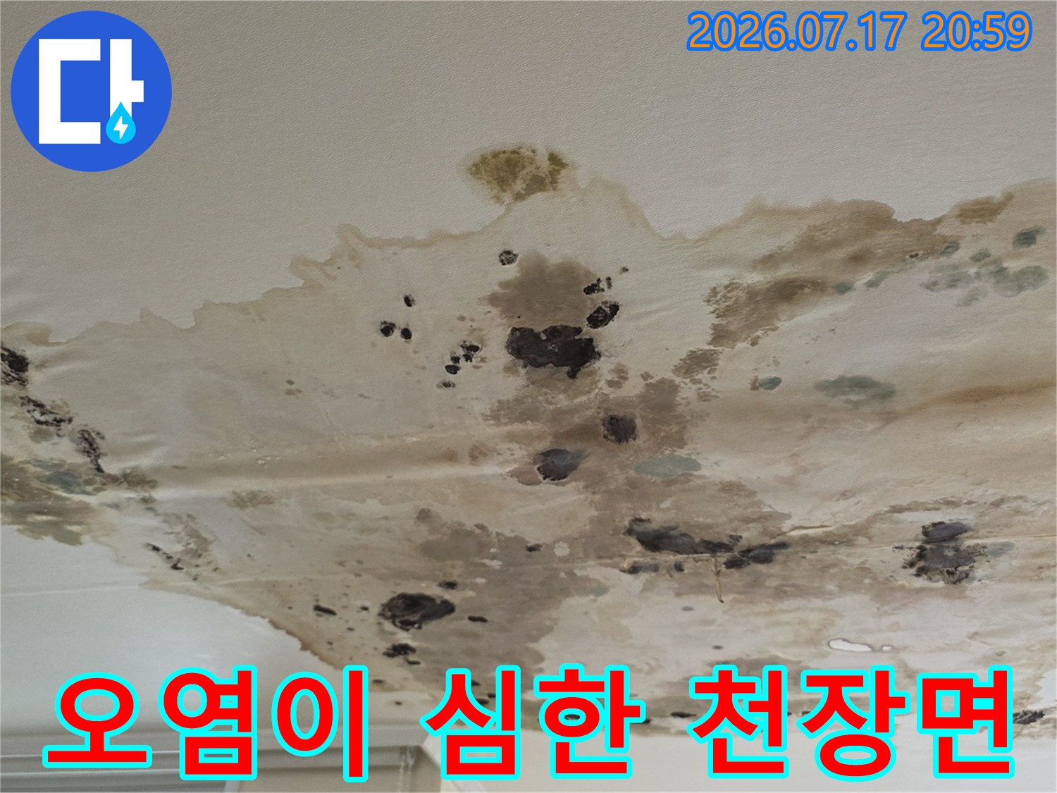 곰팡이가 핀 천장의 누수 흔적과 오염 양상
