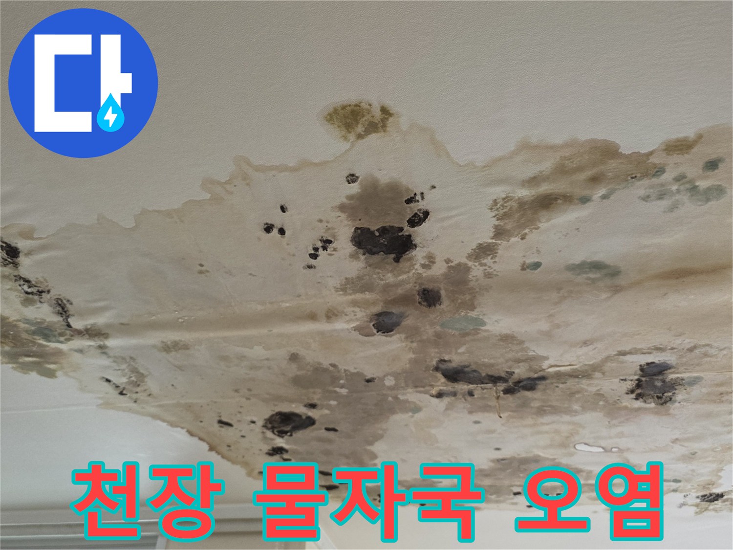 물샘-피해로-변색된-아파트-천장-모습