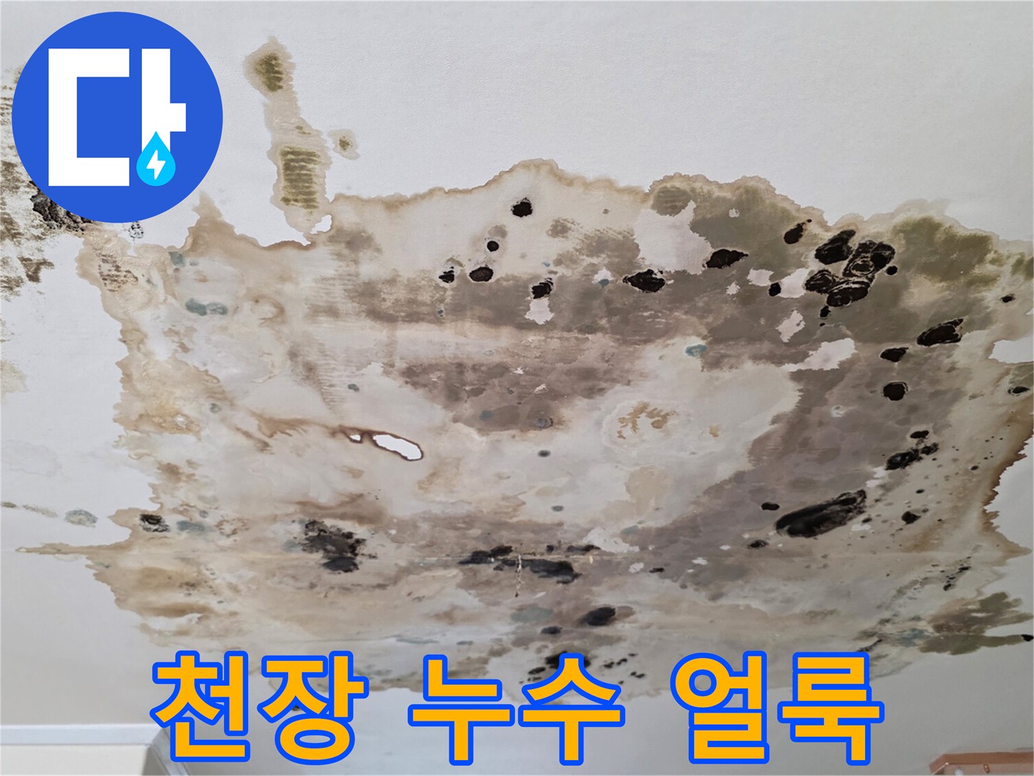 물샘-흔적이-남은-천장-벽지
