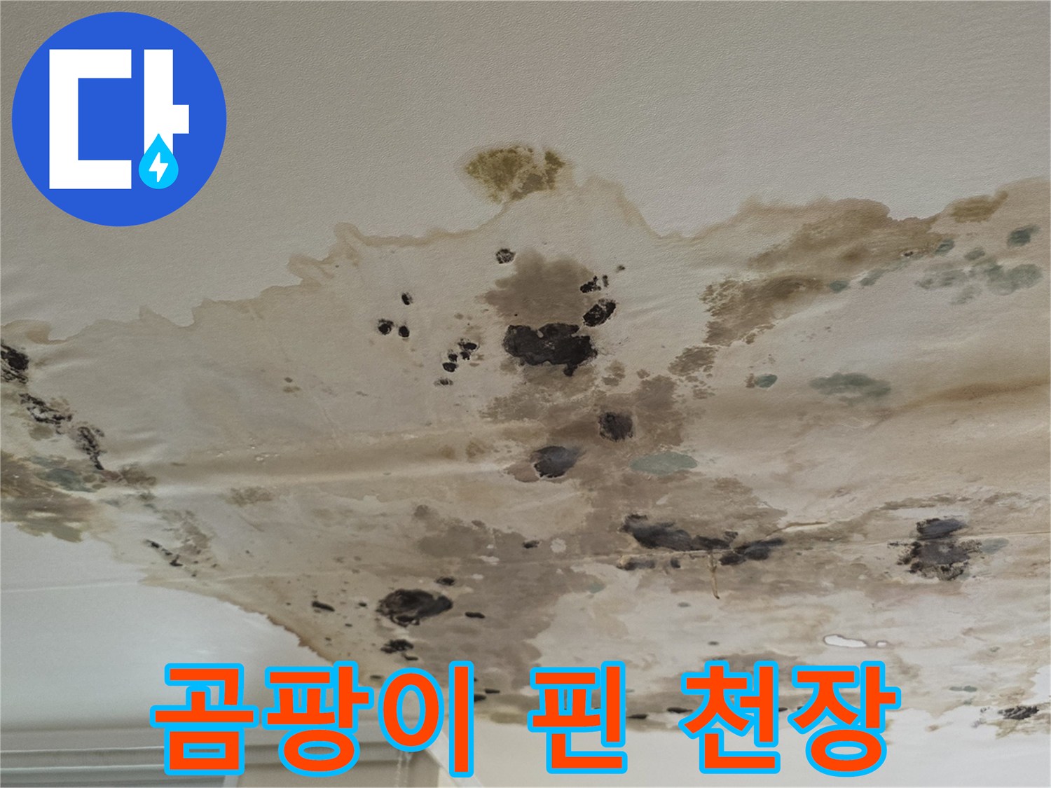 습기-침투로-변색된-아파트-천장-도배지