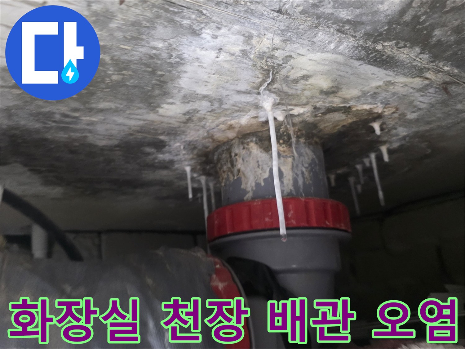 화장실-천장-배관-연결부-물샘-및-오염-상태
