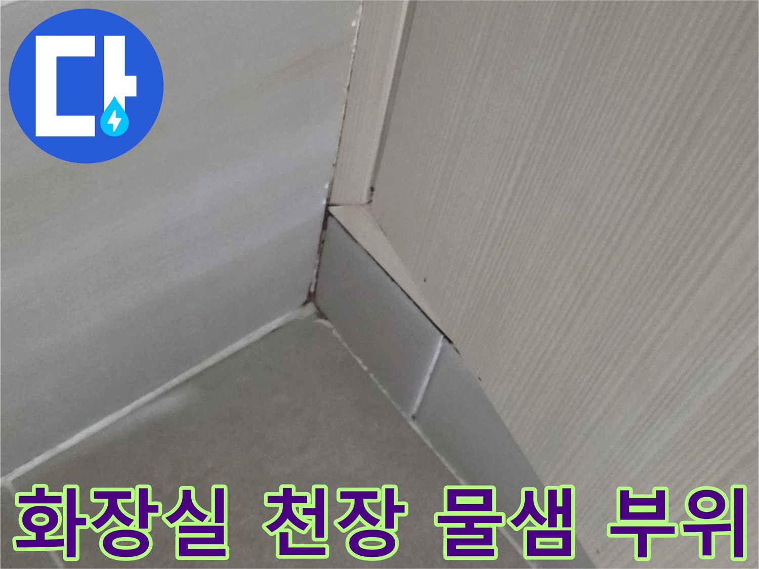 덕양구-화장실-천장-타일-틈새-물샘-현상