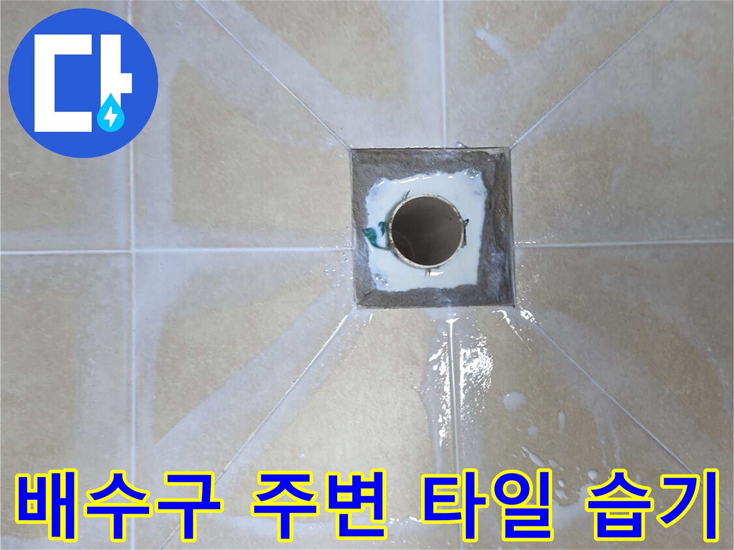 물기가 남아있는-욕실 배수구 근처