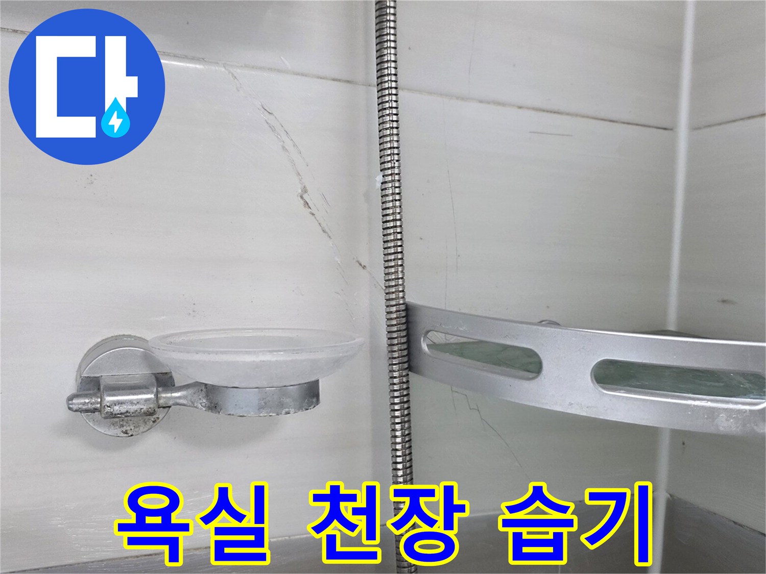 천장 배관 주변의 젖어 있는 타일과 석회 침착물