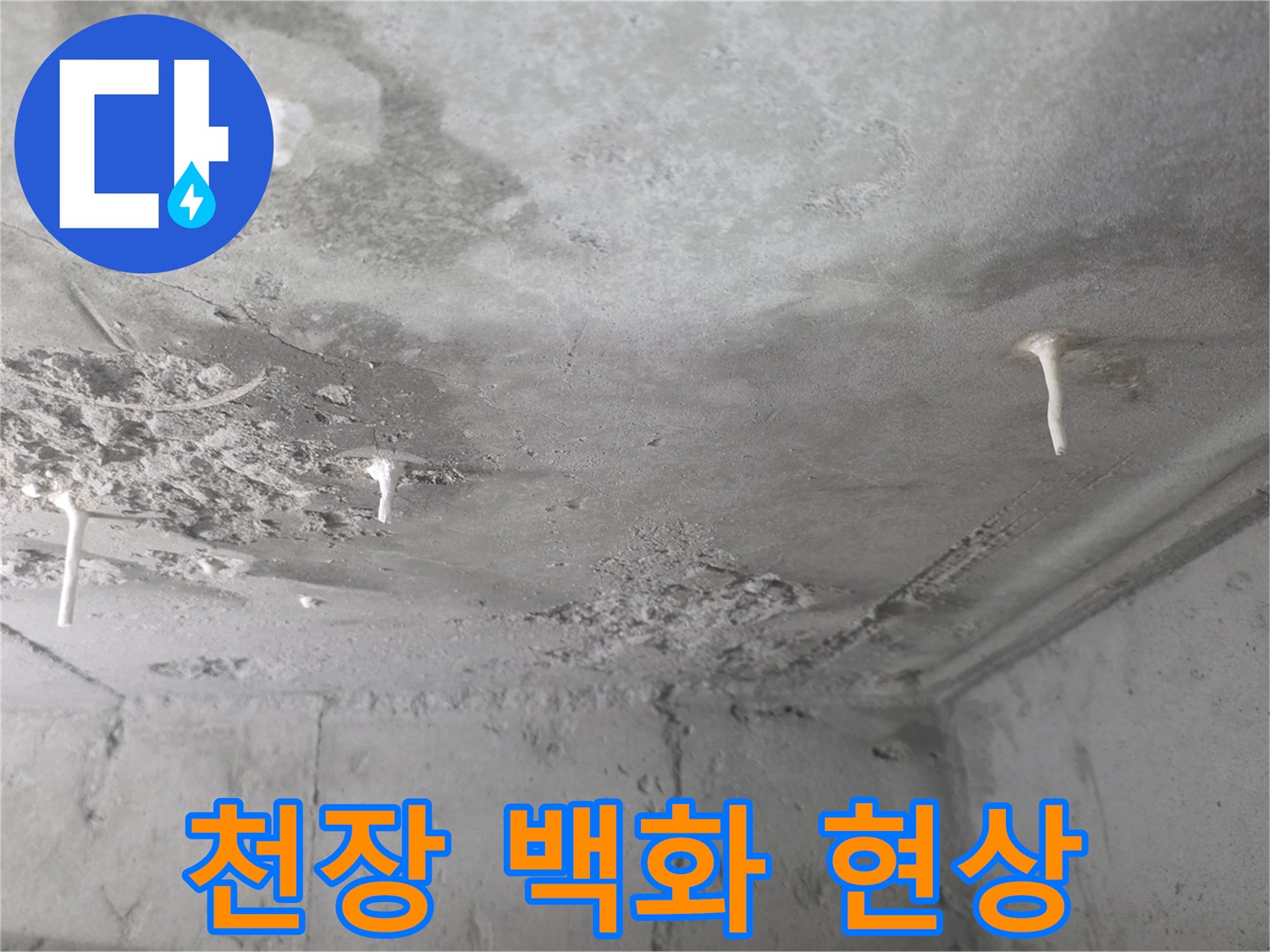 콘크리트-슬라브-백화현상-발생-모습