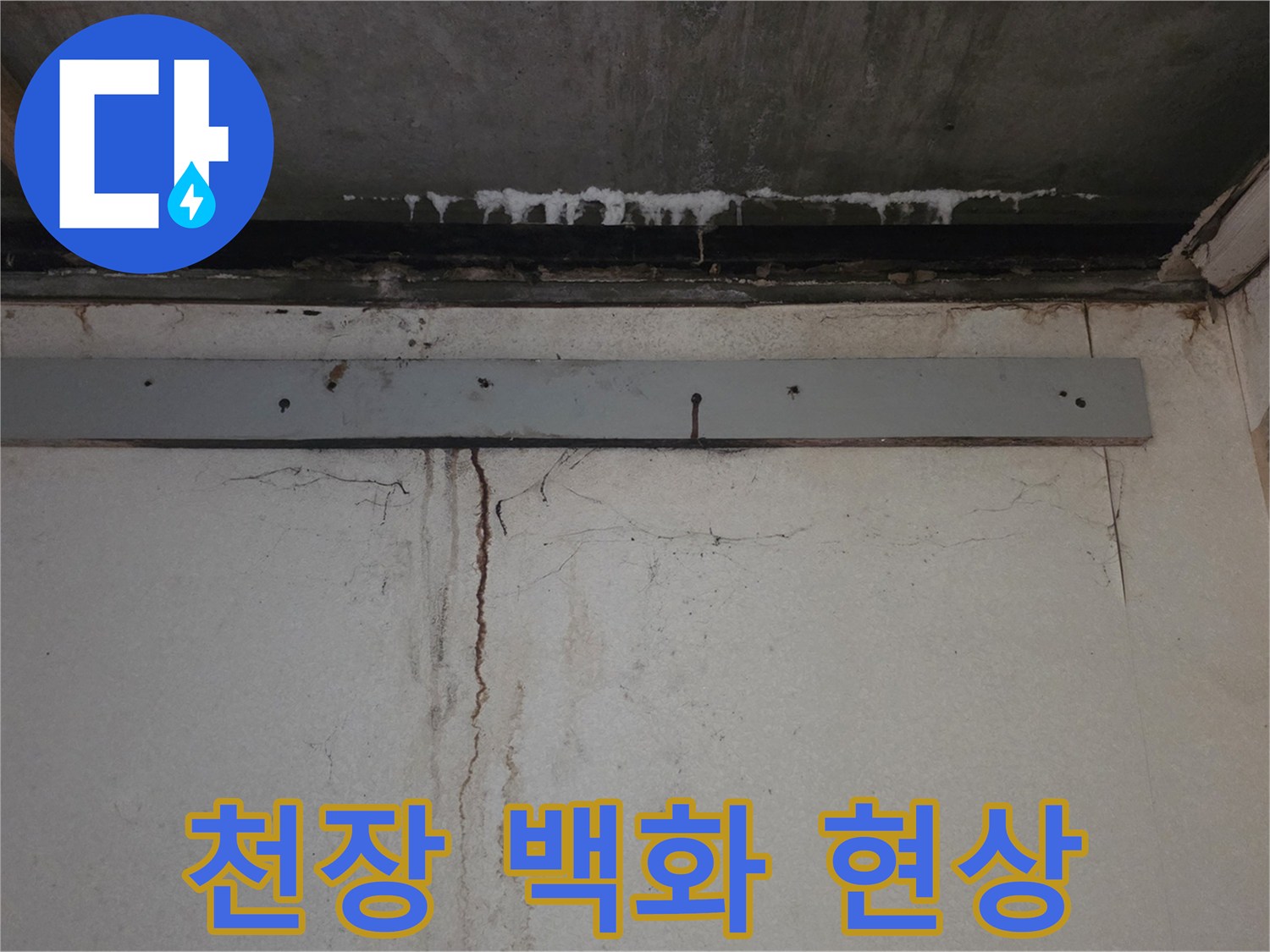 화장실-천장-슬라브-백화-현상-및-석회물-응고-상태