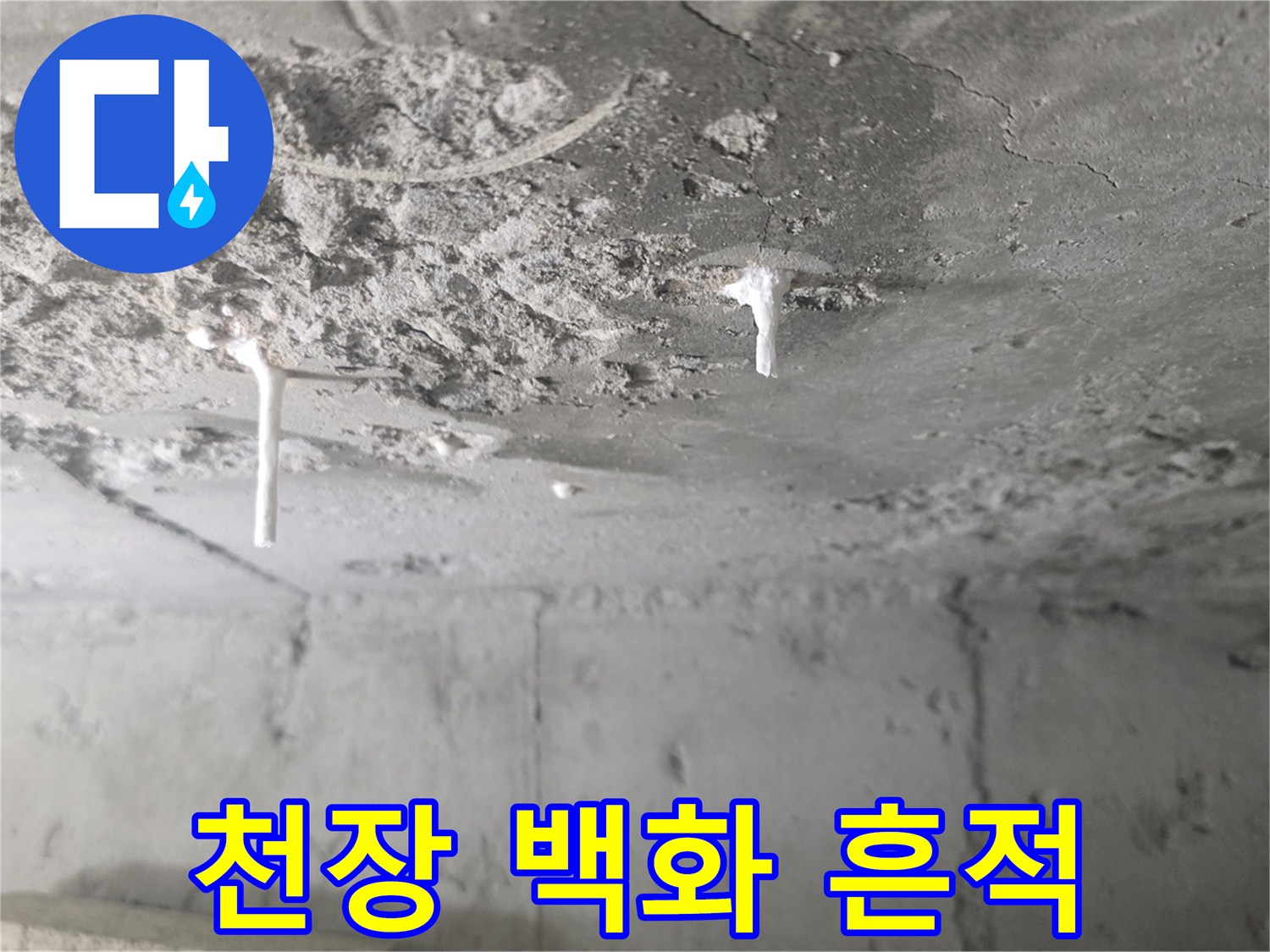 화장실-천장-슬라브-백화물-및-습기