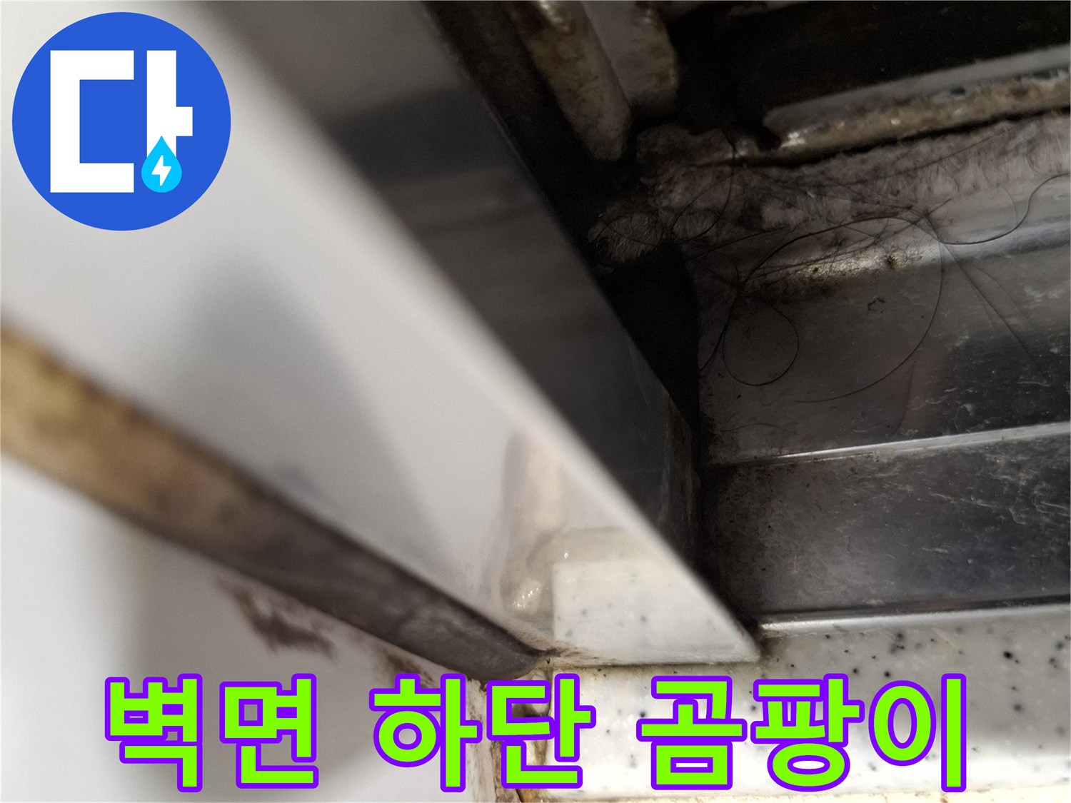 거실-걸레받이-하단부-곰팡이-발생-상태