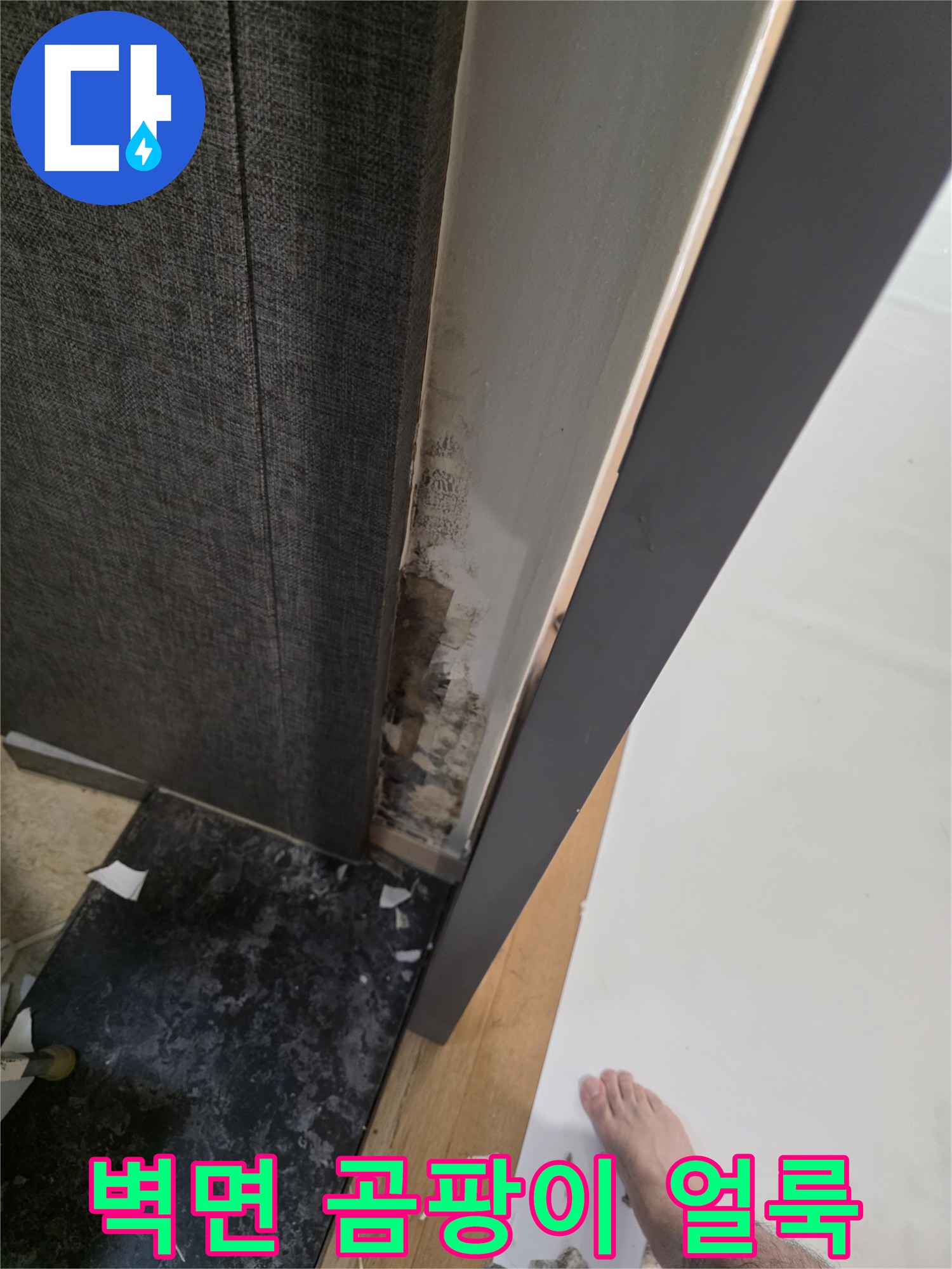 거실-벽면-하단부-곰팡이와-습기-흔적
