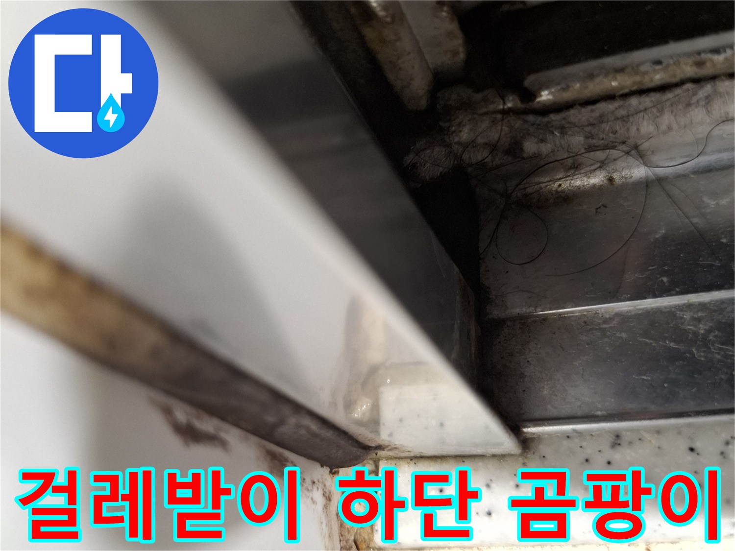 벽면-마감재-하단부-곰팡이-오염-상태