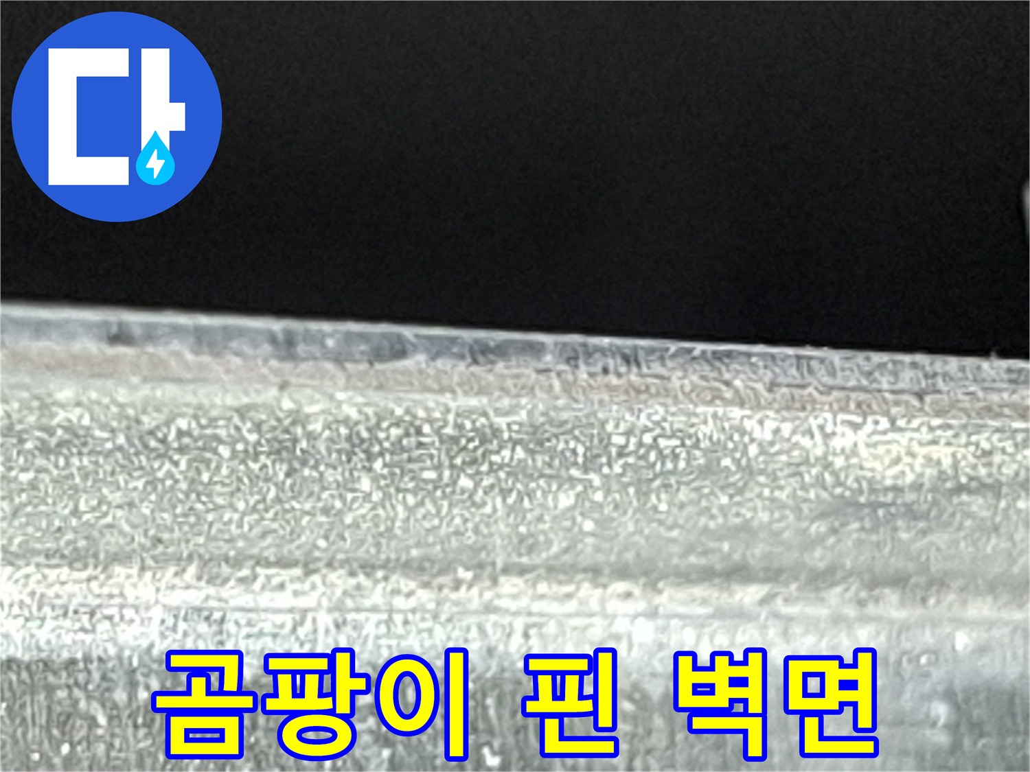 벽면-하단부-곰팡이-및-습기-흔적