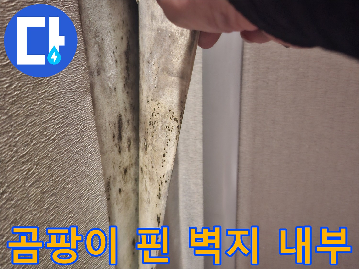 벽지-안쪽의-심한-곰팡이-및-습기-흔적