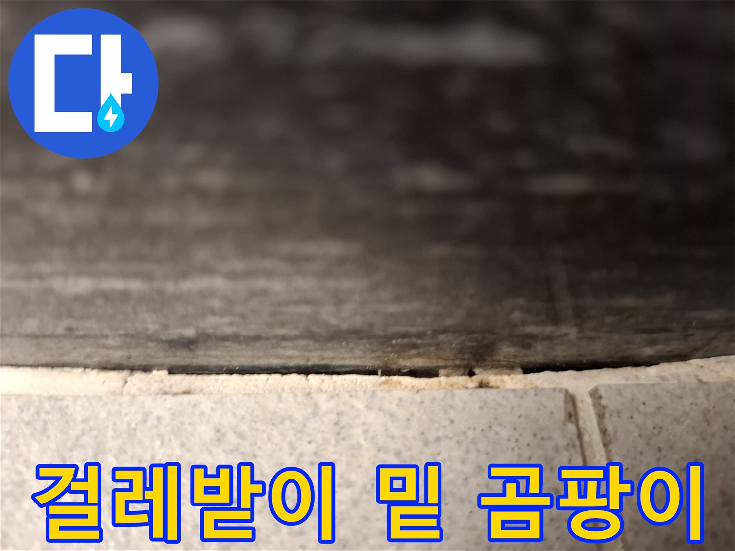 벽체-하단-마감재-틈새의-습기-및-오염
