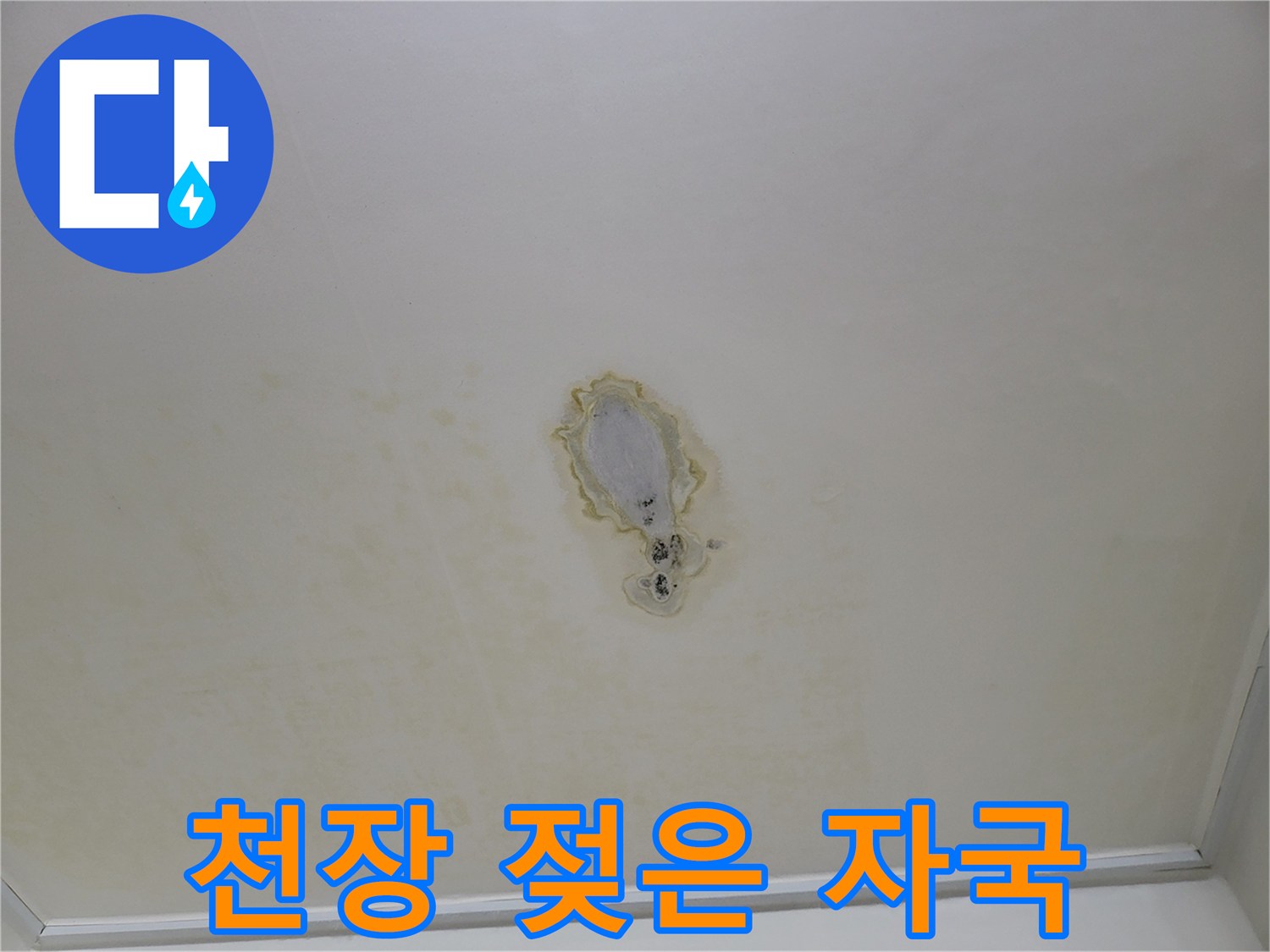 물기가 스며든 천장 도장 부위