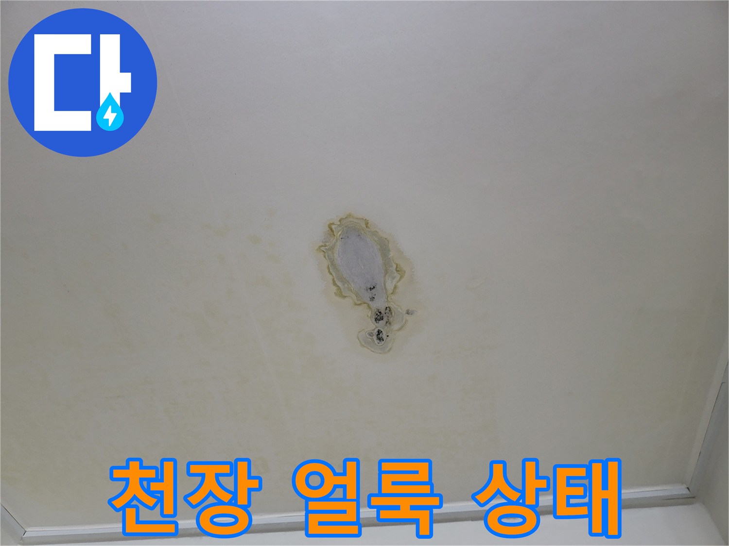 천장-중앙의-어두운-누수-변색-부위