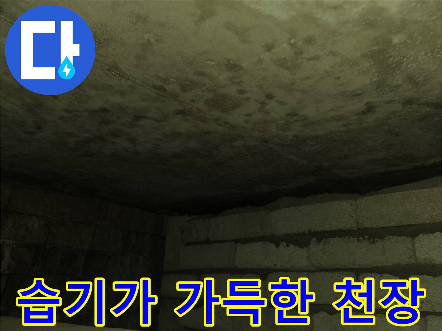 물샘 현상이 진행 중인-화장실 천장 내부 모습