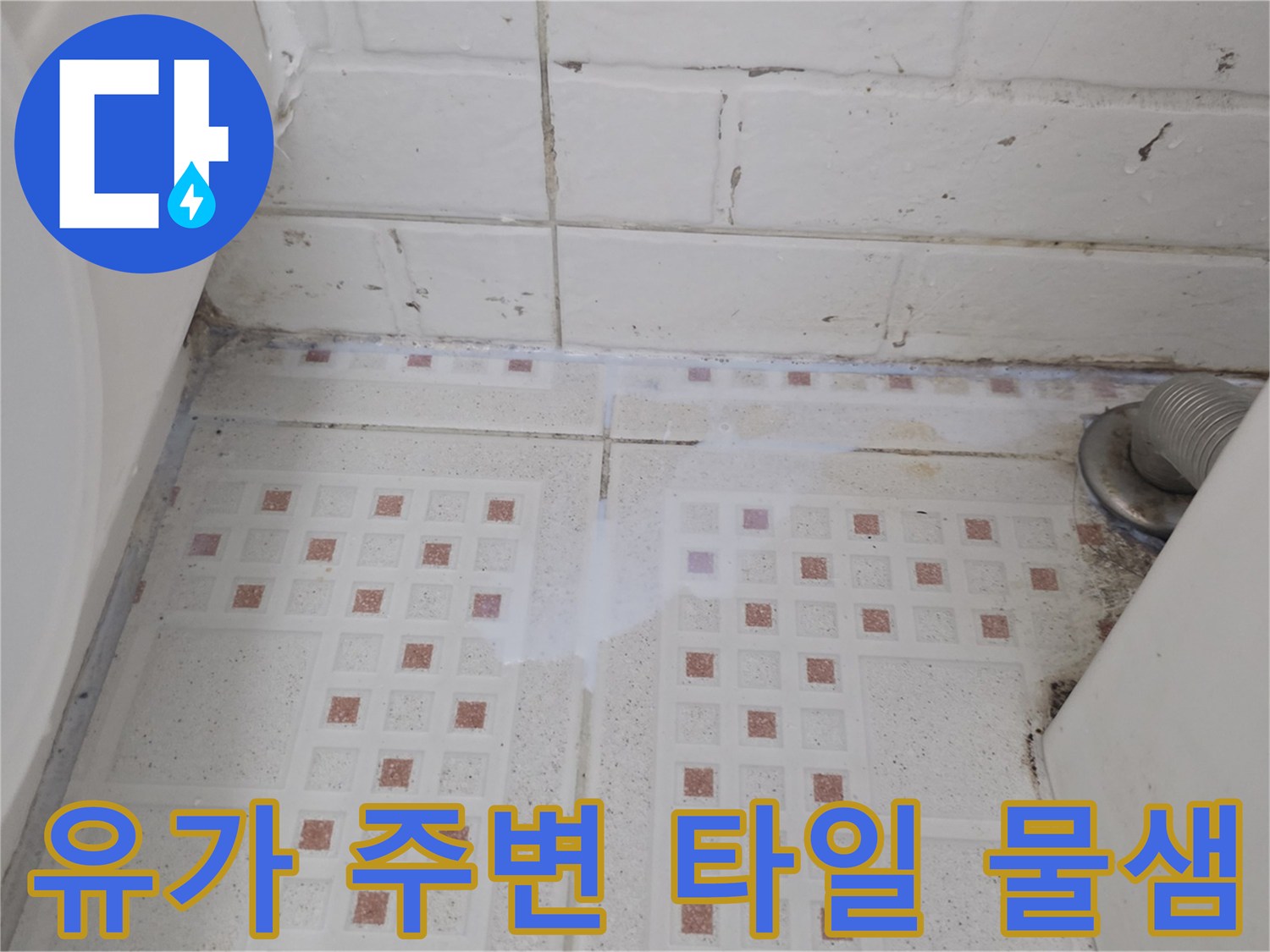 하수구-주변-타일-틈새의-물기-및-누수-증상