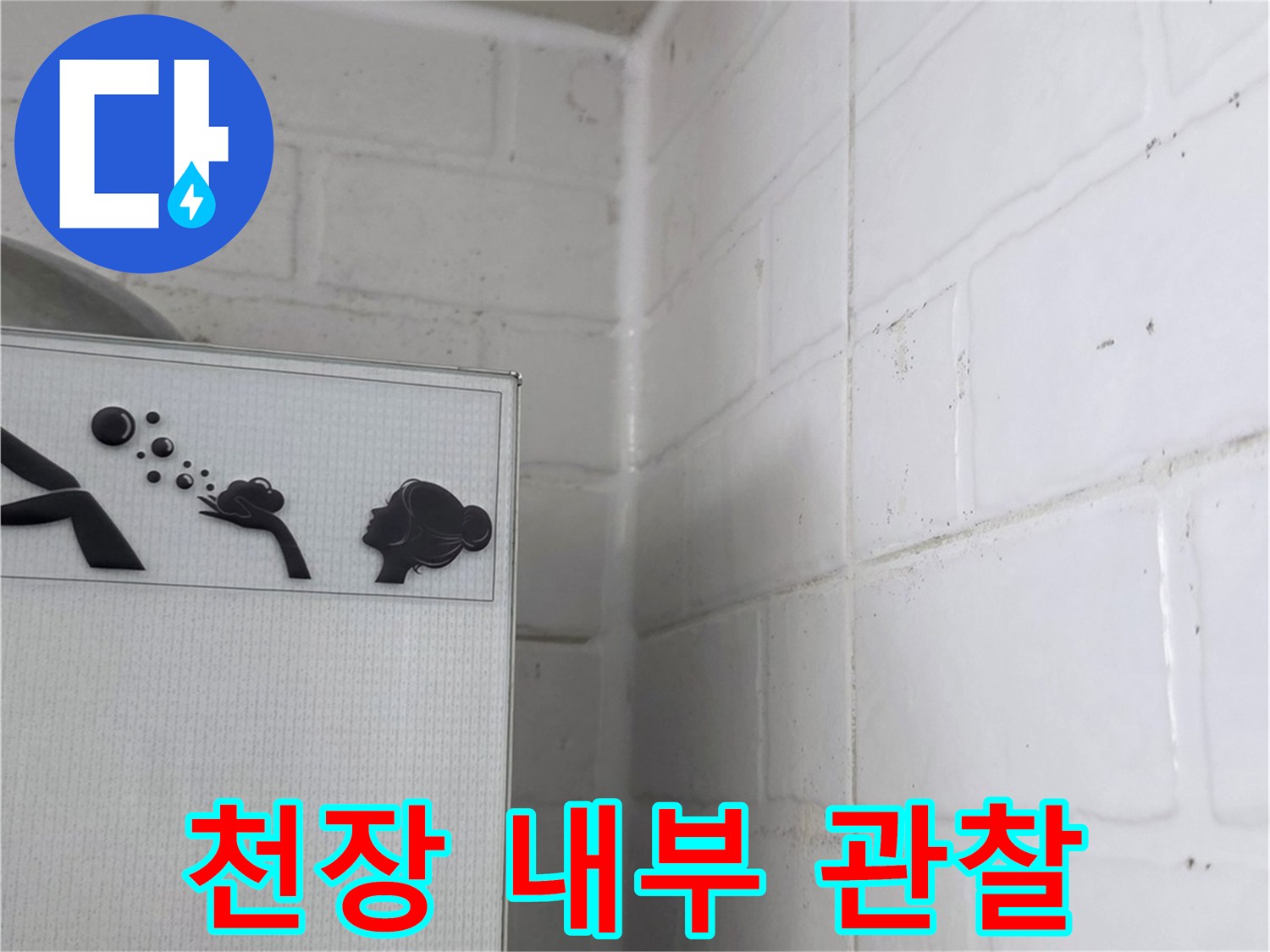 화장실 점검구-배관 주변 확인 작업