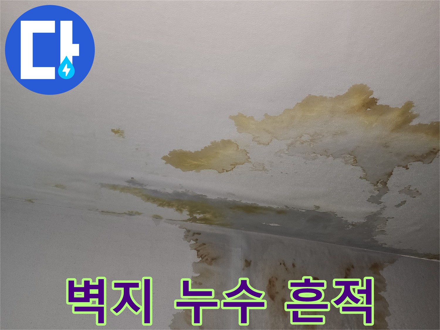 갈색으로-변한-벽지-누수-피해-모습