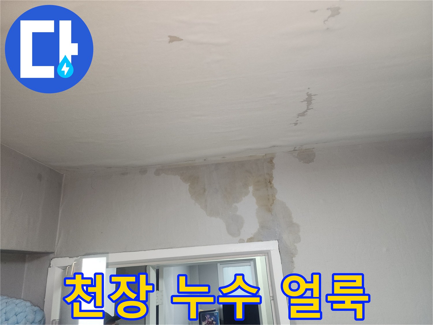 넓게-번져있는-천장-및-벽면의-물자국