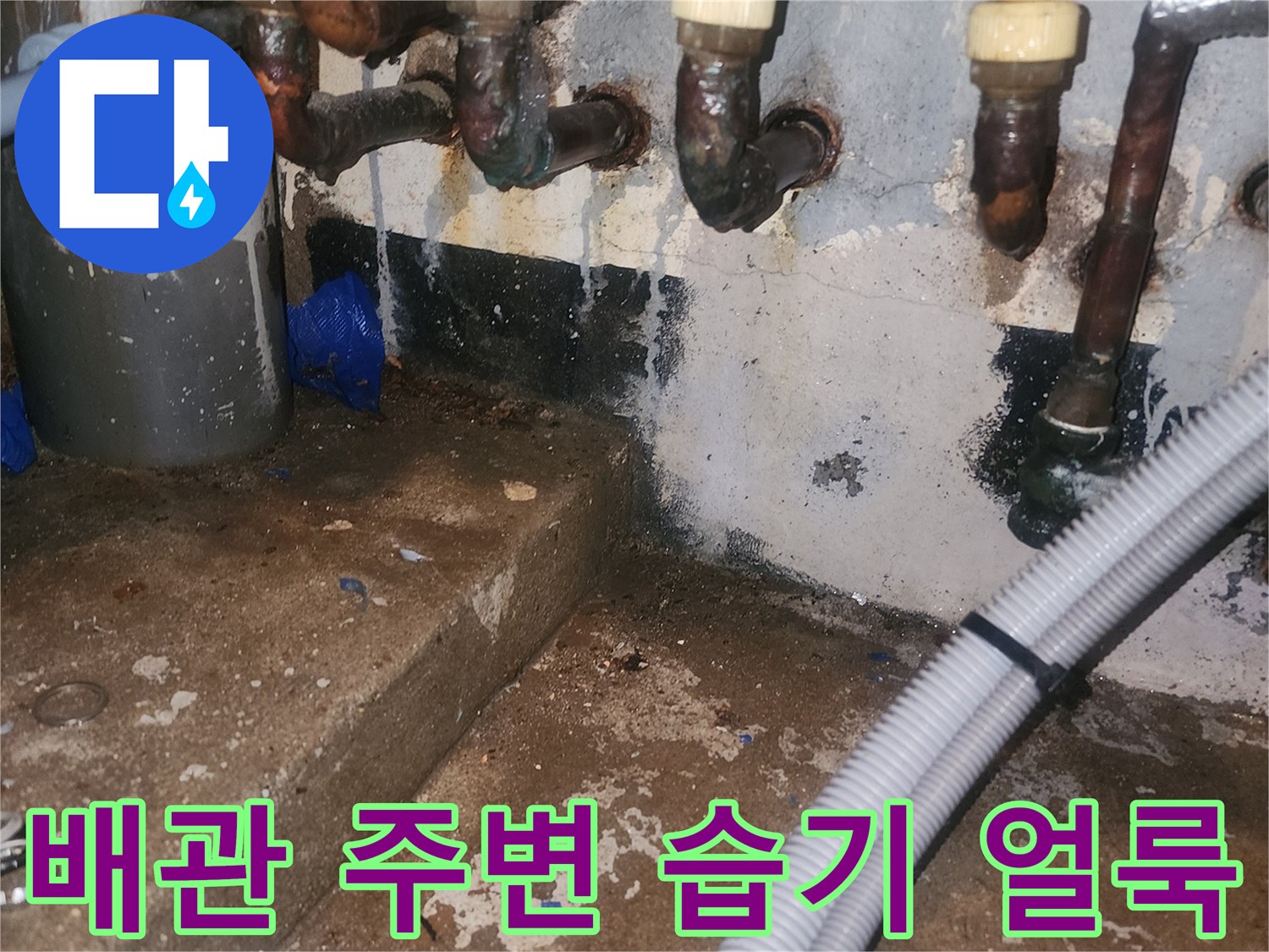 배관-연결부-주변-검은색-습기-흔적