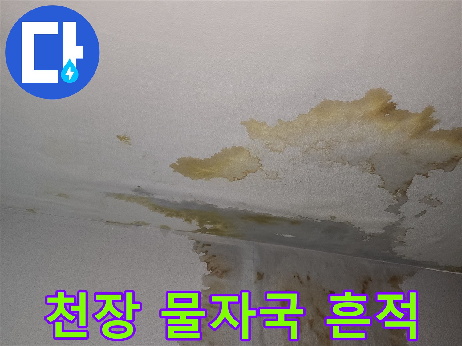 천장-구석-벽지-젖은-모습