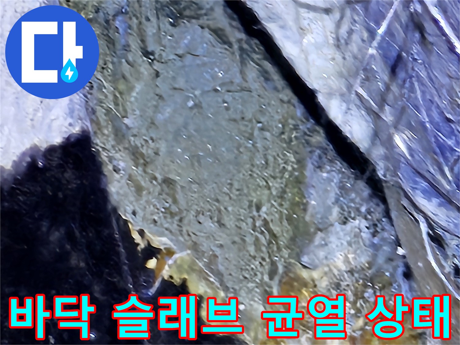 분당 건물 지하층-습기를 머금은 바닥 균열 부위