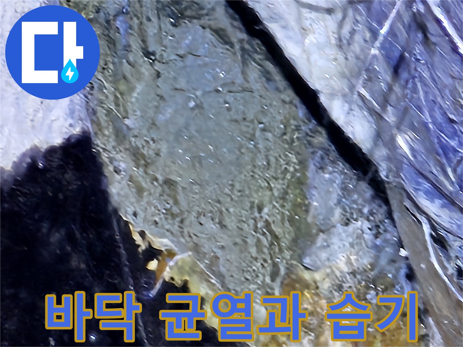 지하층-바닥-균열-및-습기-상태-기록