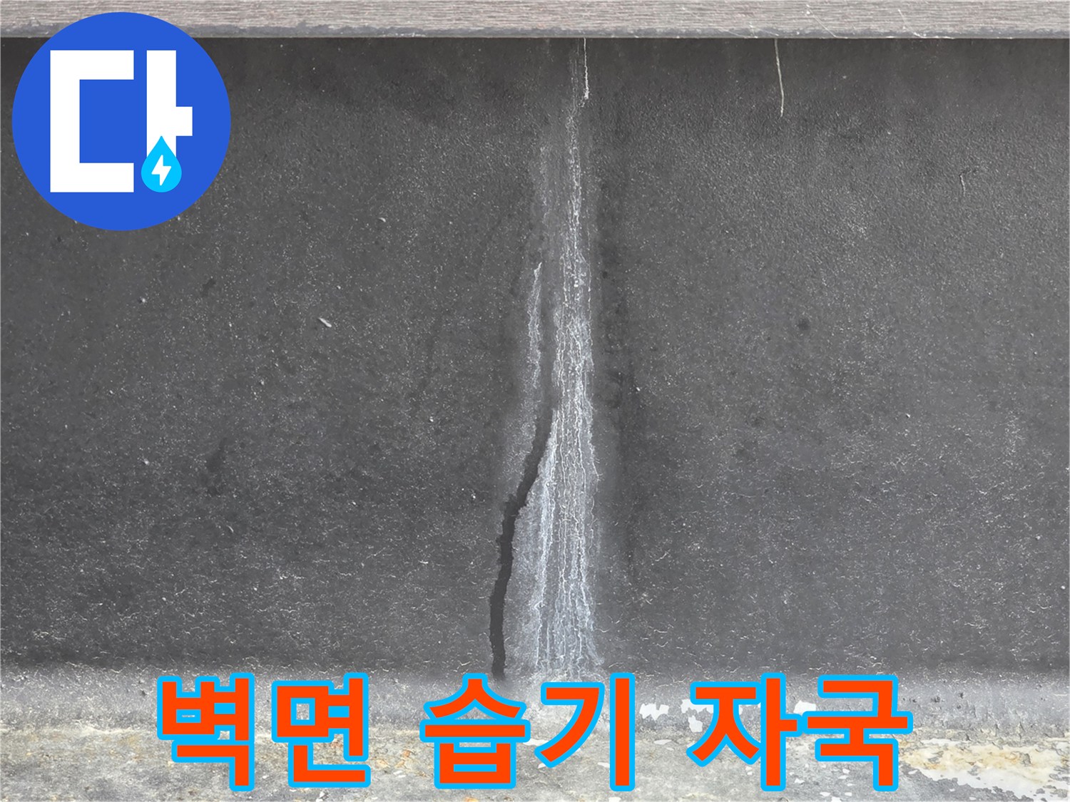 벽체-중앙의-세로형-물샘-흔적