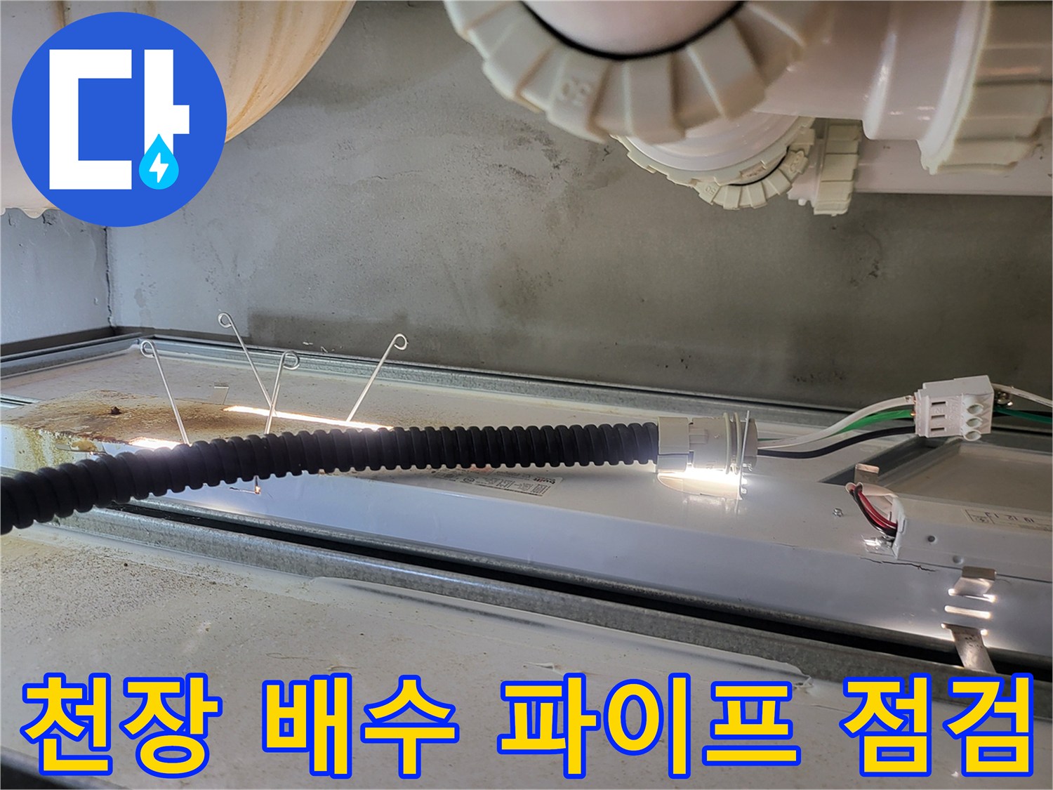 배수-파이프-주변의-습기-및-누수-흔적-조사