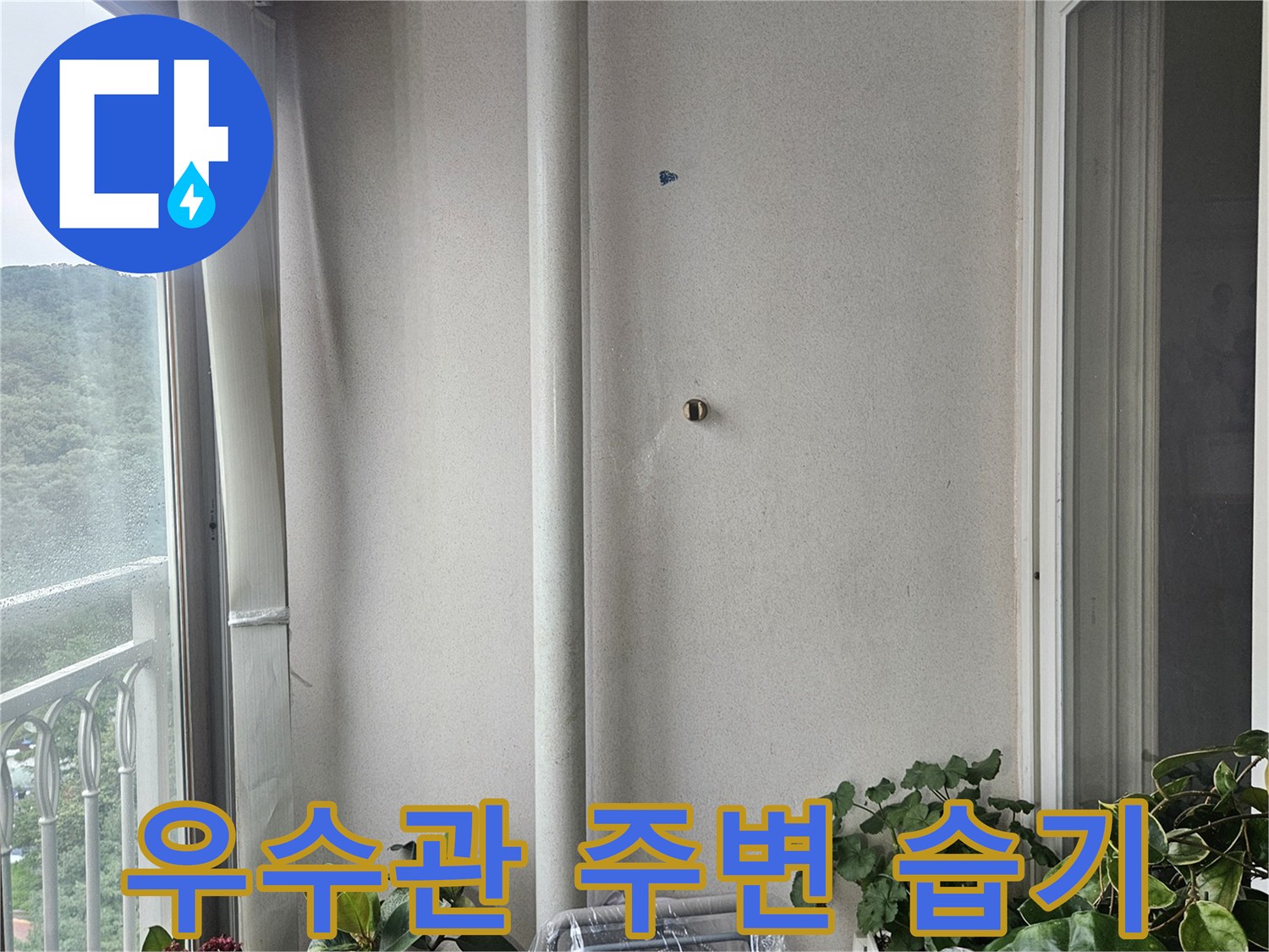 베란다-우수관-주변-천장-젖음-상태-기록