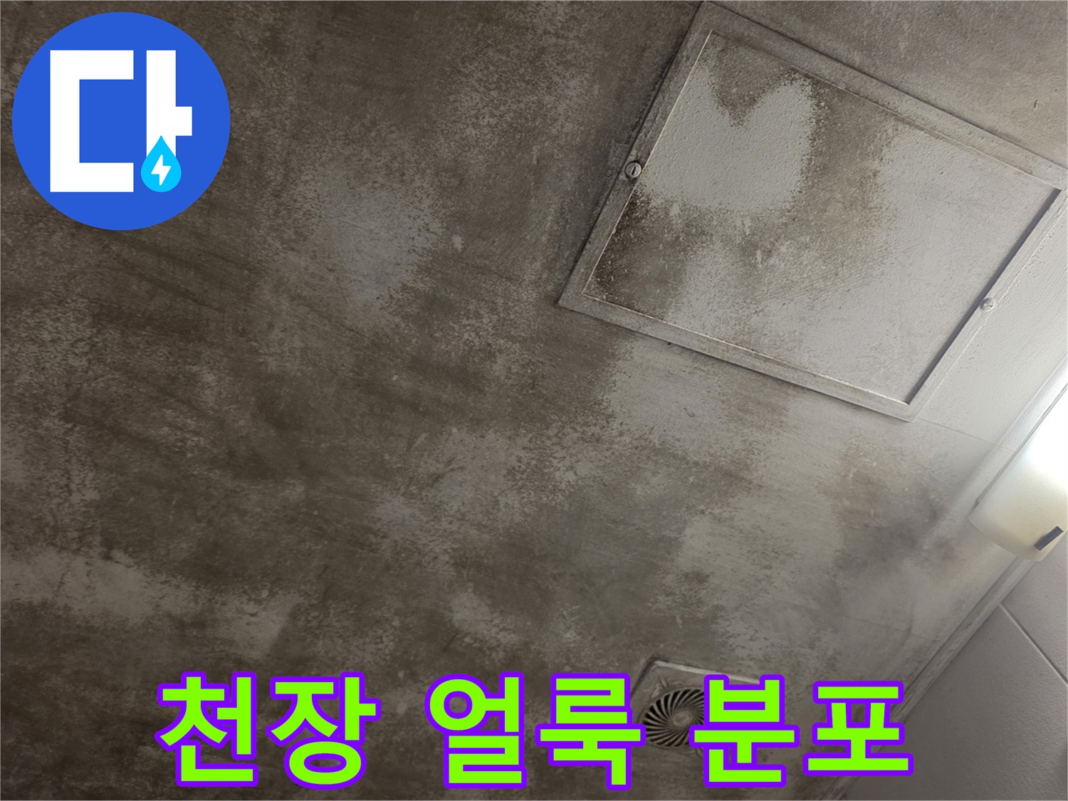 광범위하게-퍼진-천장-누수-얼룩-상태