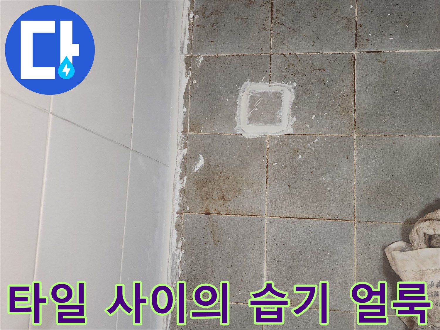 습기로-검게-변한-화장실-타일-줄눈-부위