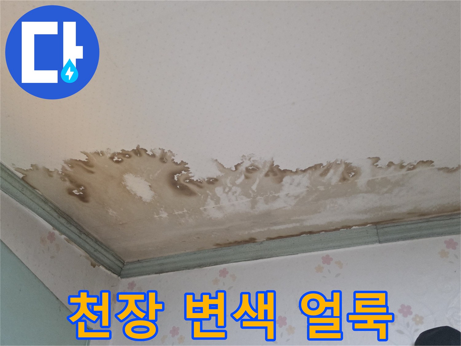 성북구-정릉동-천장-변색된-물자국-현황