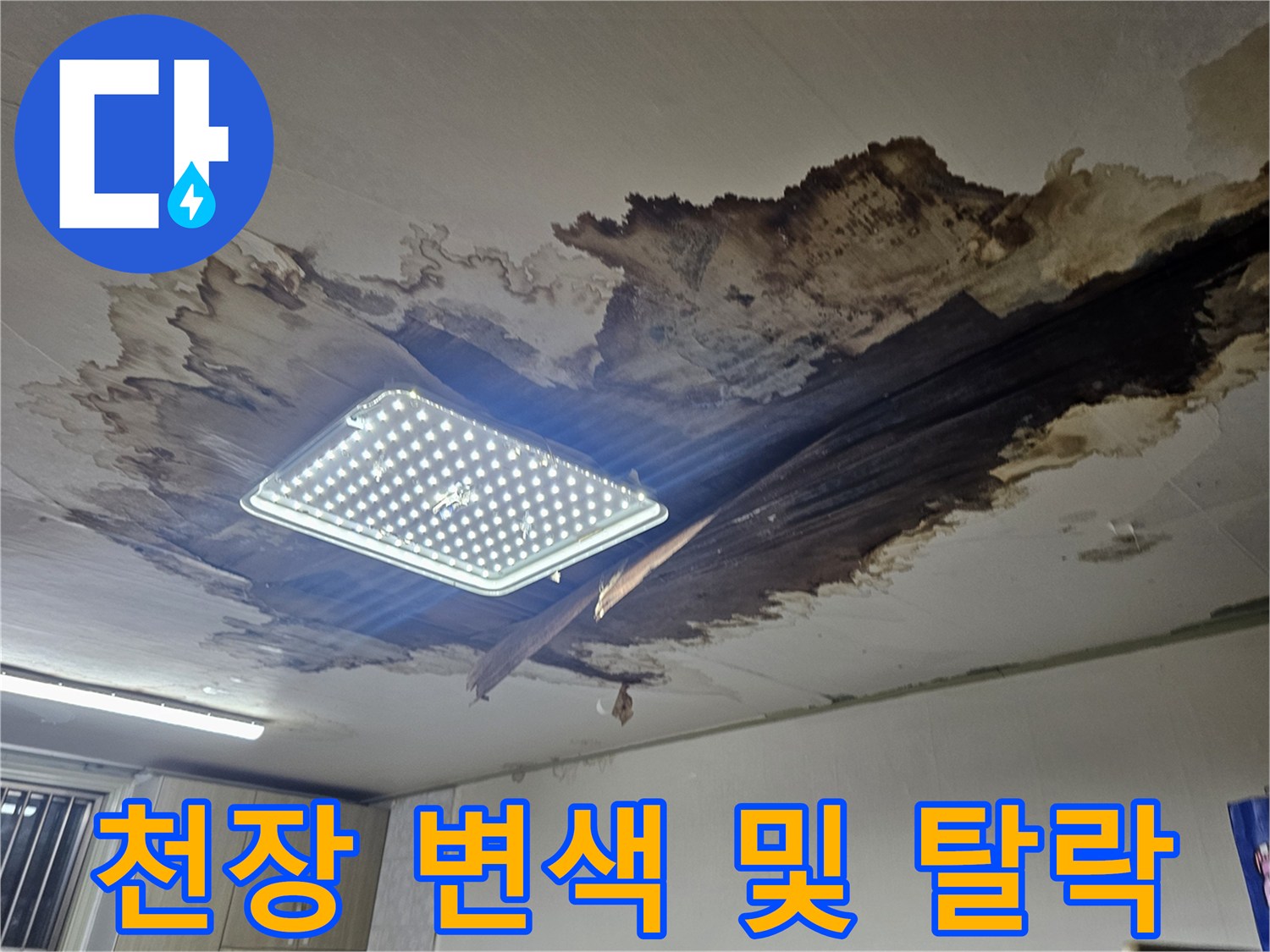 동작구 상도동 빌라의 천장 마감재가 누수로 인해 변색되고 떨어진 모습입니다.