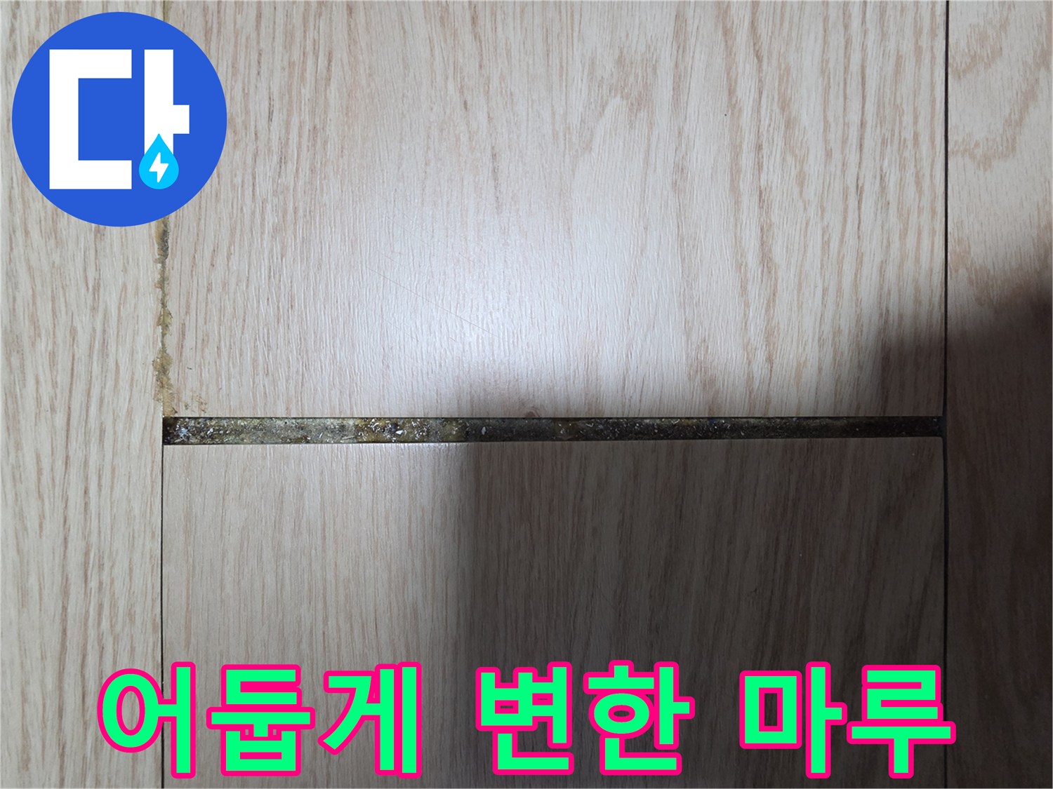 물기가 스며들어 어두워진 마루 틈새 부위