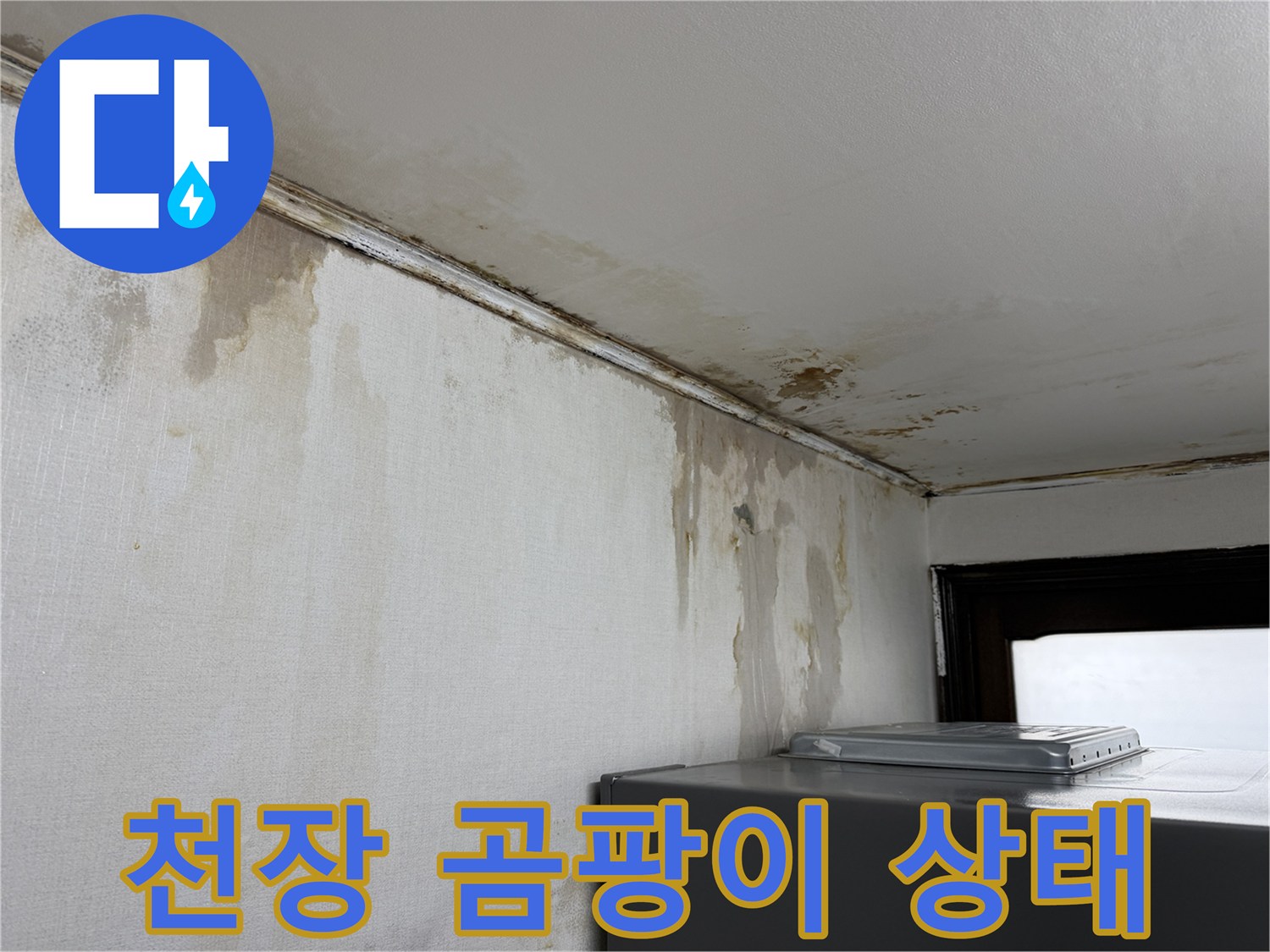 벽면 상단부의 곰팡이와 습기 침투 흔적